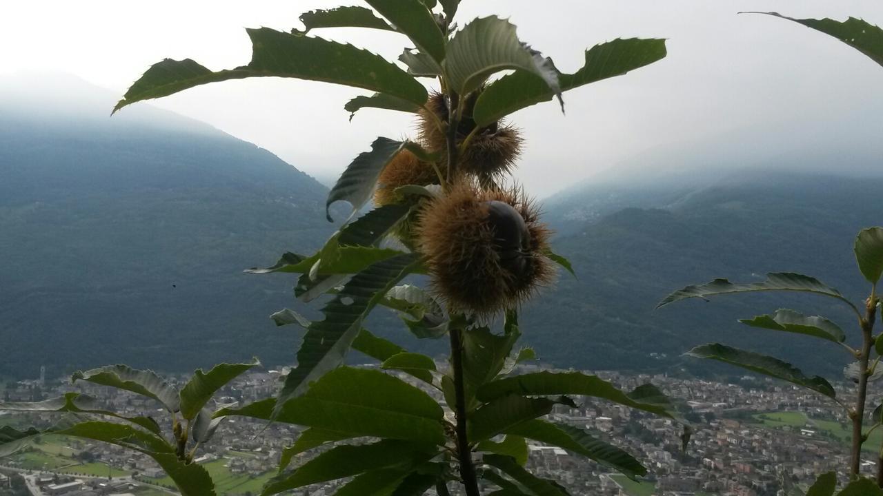 Agriturismo Da Ysy Civo المظهر الخارجي الصورة